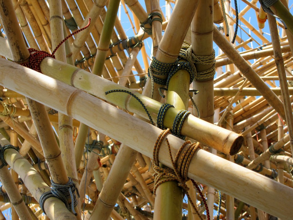 Китайский бамбук - какое значение он несет для народа поднебесной?
