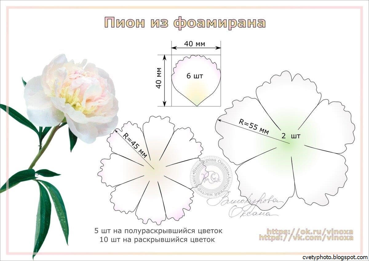 Пион карта цветов