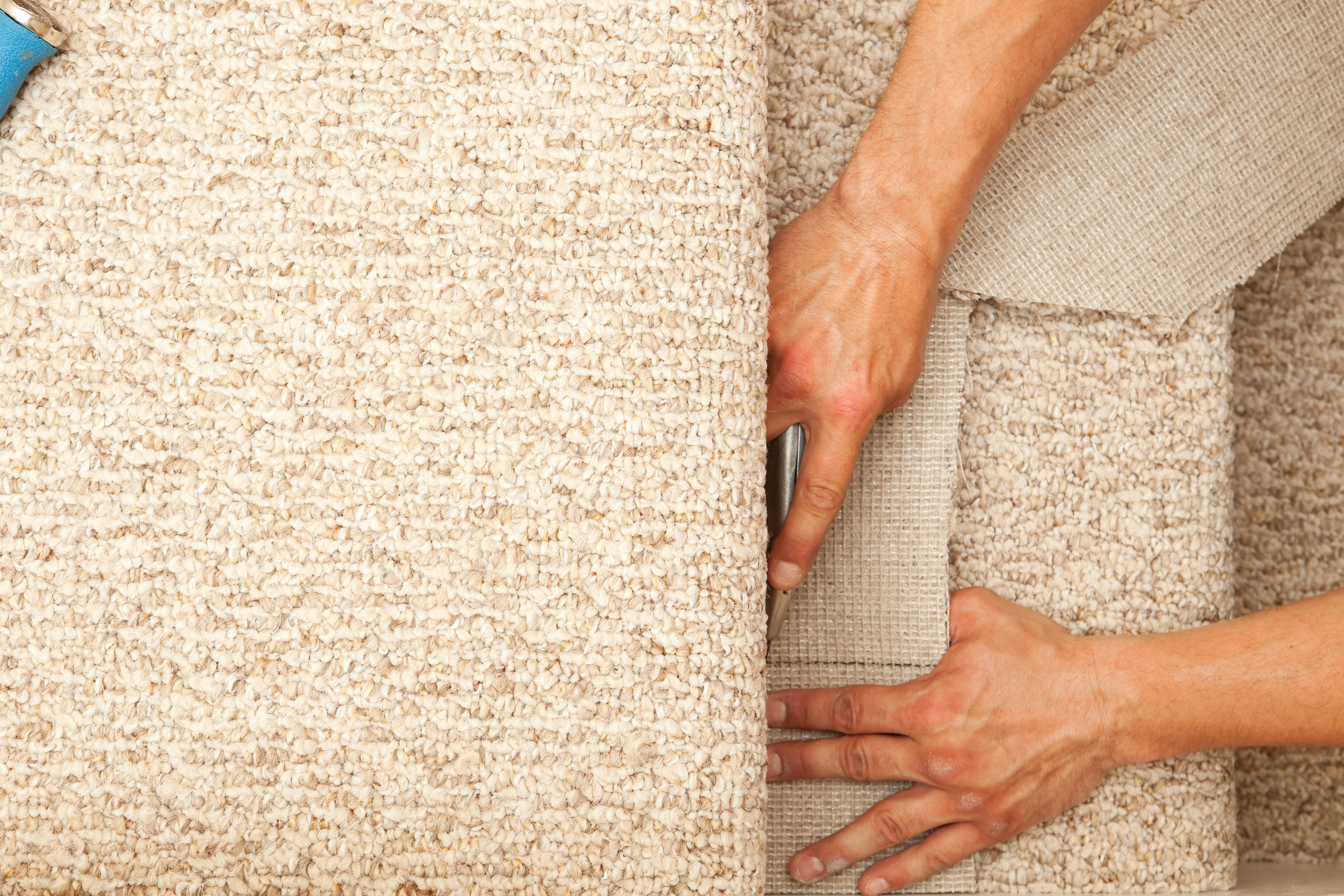 Какой ковролин лучше для дома – виды и особенности коврового покрытия