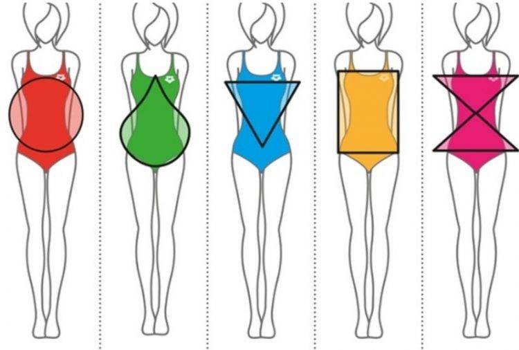 Основные типы телосложения у женщин: как определить?