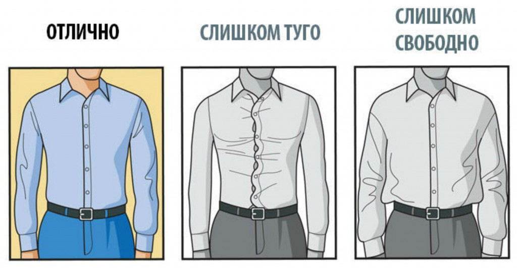 Как правильно выбрать мужскую рубашку по размеру, фасону и качеству?