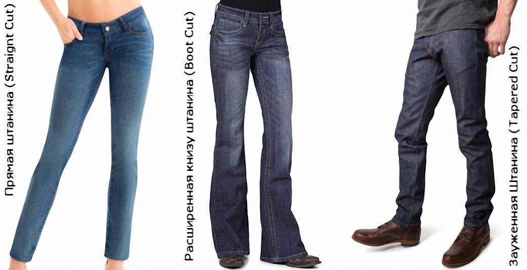 Как отличить мужские джинсы от женских?