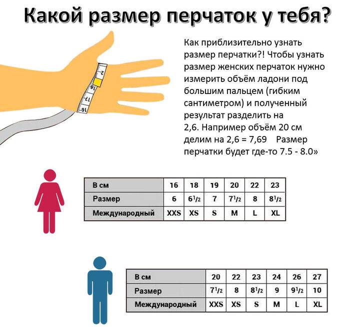 Разбираемся, как определить размер перчаток