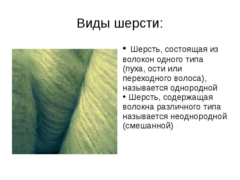 Мериносовая шерсть (merino wool): уникальные характеристики и лечебные свойства