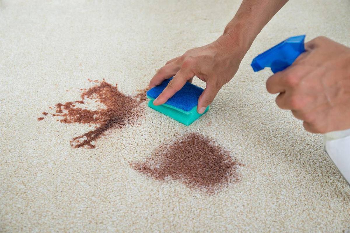 Как убрать заломы на ковре — строй обзор