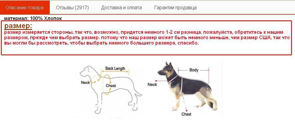 Как узнать размер одежды для собаки: по щенку, породе, снятие мерок