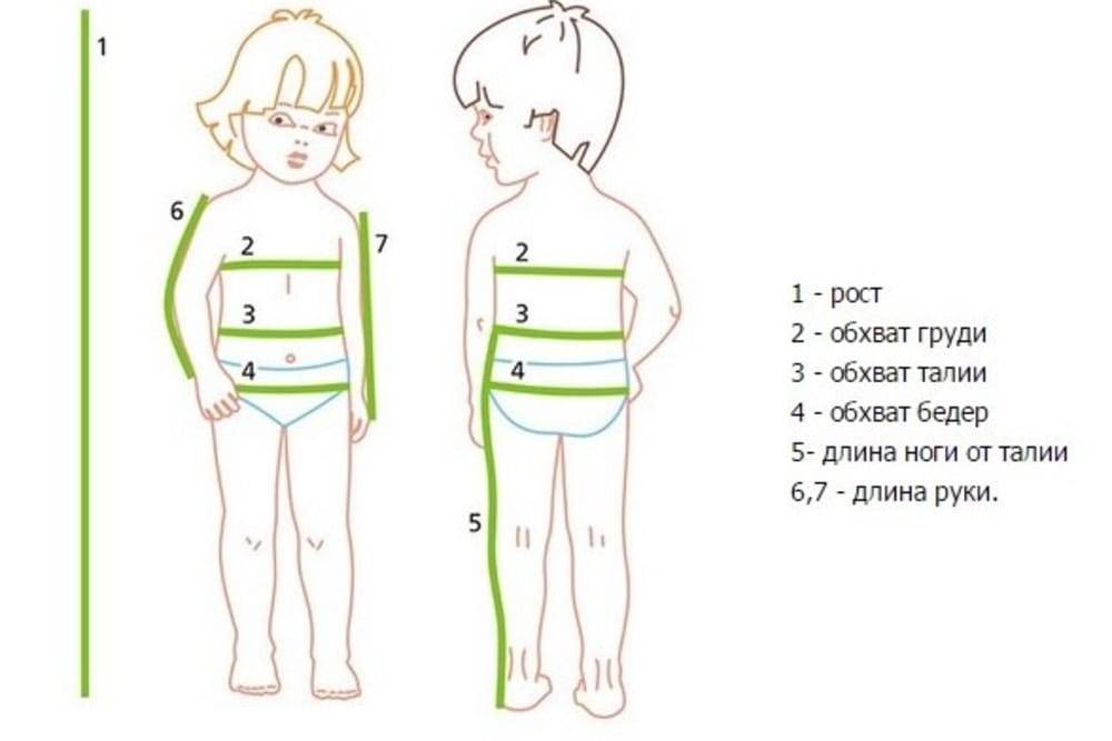 Размеры детской груди