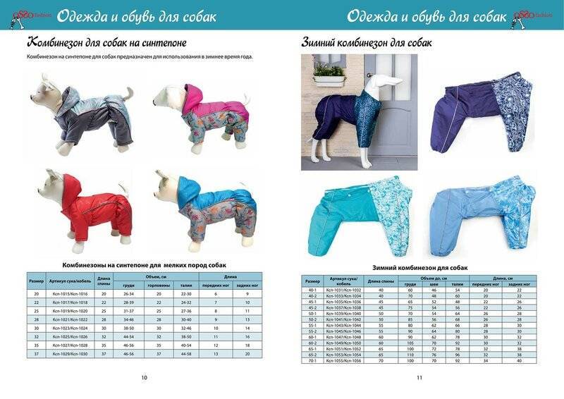 Размеры для собак на «алиэкспресс». разберемся, как выбрать размеры обуви и одежды для питомца