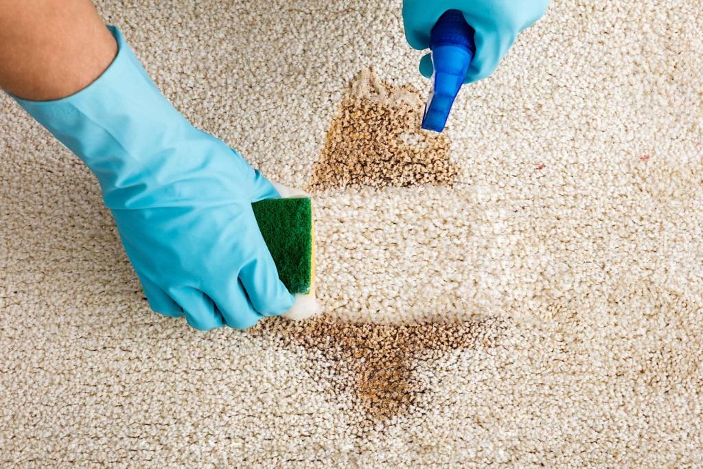 Чистка ковров в домашних условиях — домашние советы