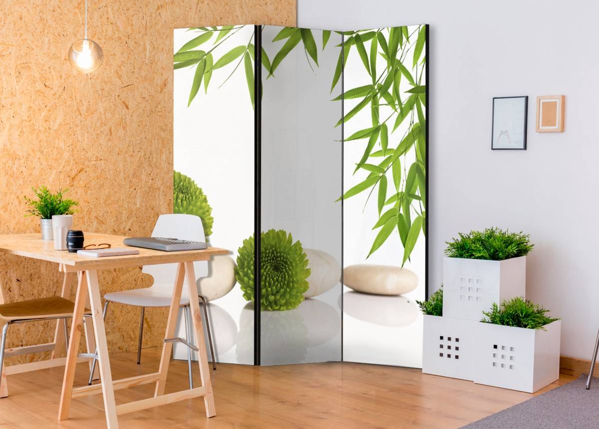 Декоративная ширма — изысканный и функциональный аксессуар для любой комнаты