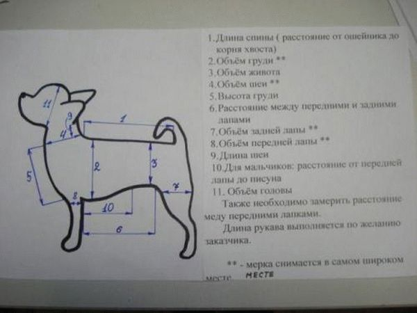 Комбинезон для собаки: выкройка, инструкция шитья, фото - handskill.ru