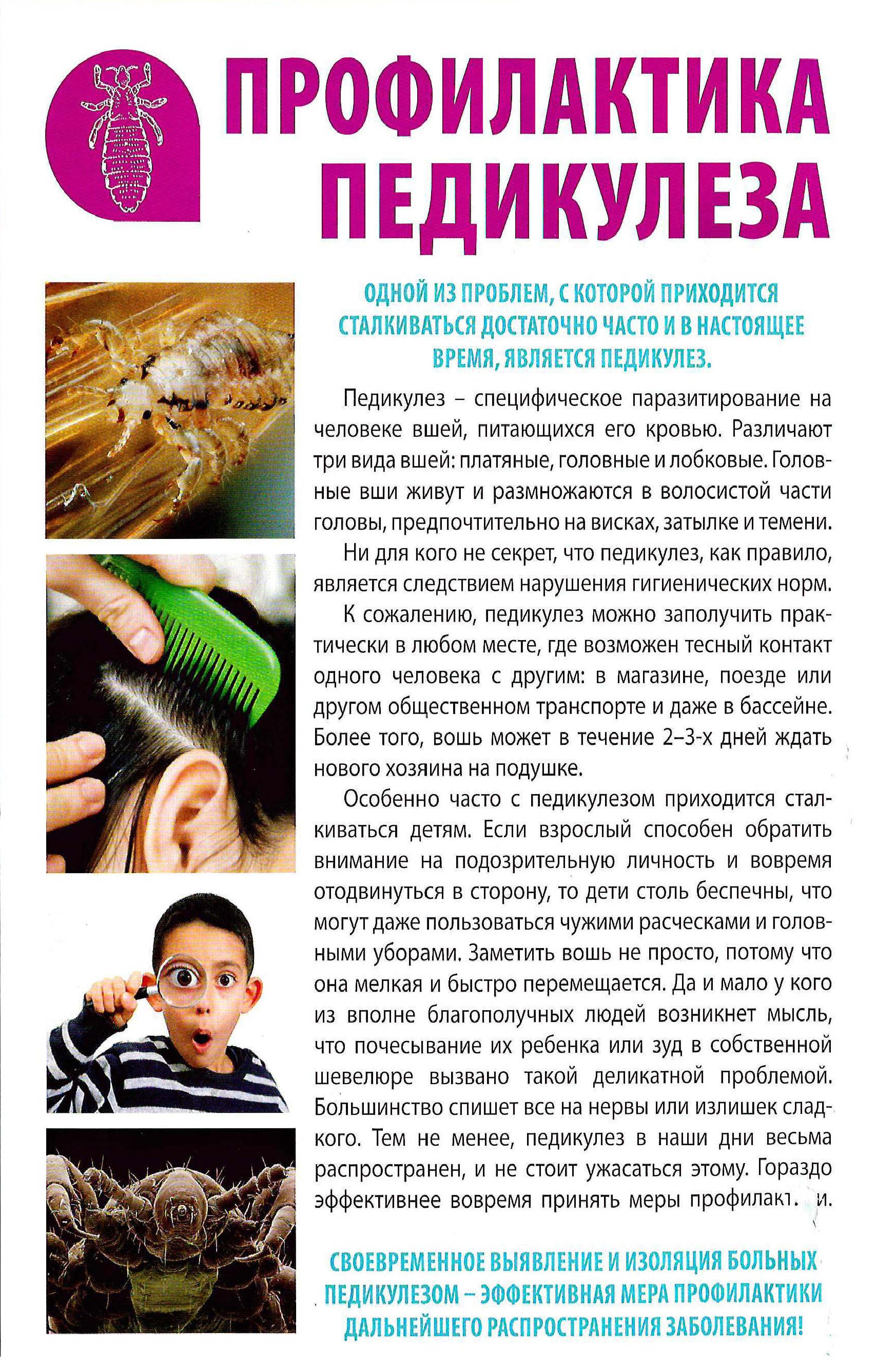 Бельевые вши: как избавиться в домашних условиях / vantazer.ru – информационный портал о ремонте, отделке и обустройстве ванных комнат