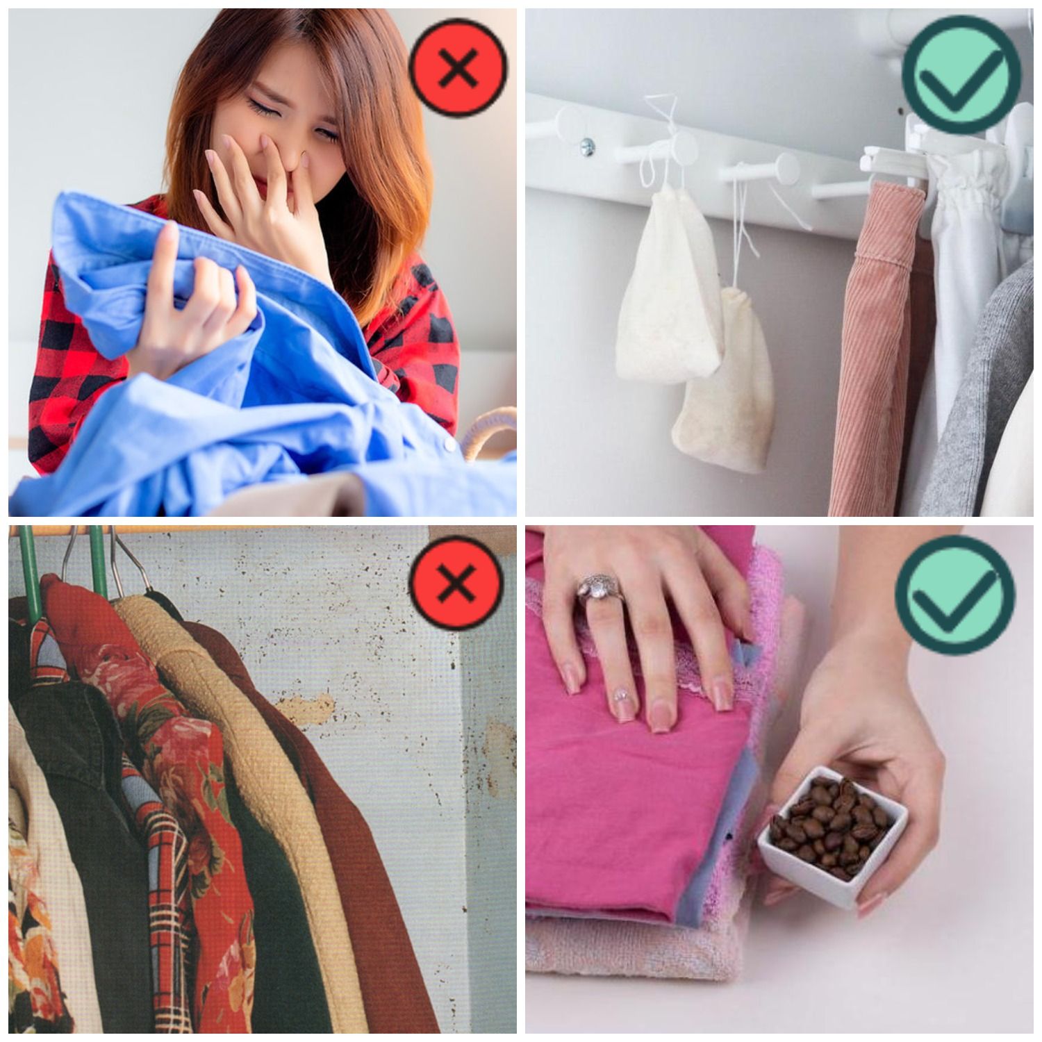 Плесень в шкафу с одеждой или постельным бельем: как избавиться?