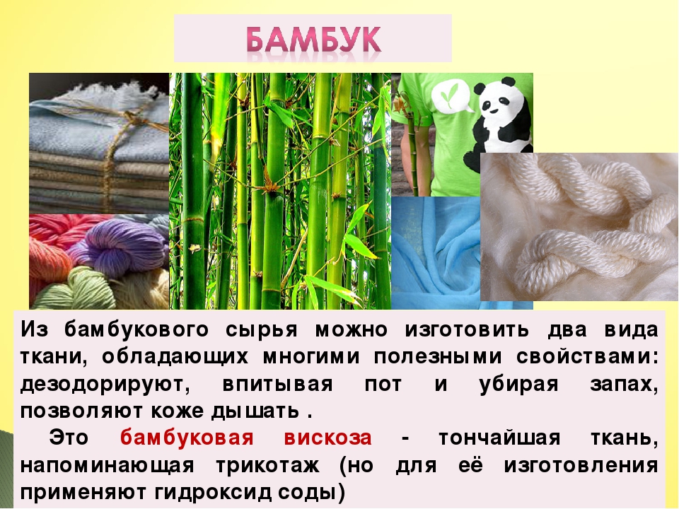Бамбуковая ткань: определение, обзор свойств материала, виды, стоимость, сферы применения