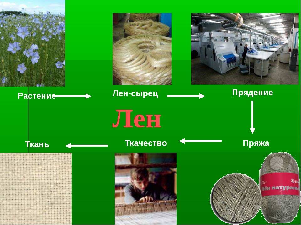 Продолжите схему получения ткани растение волокно