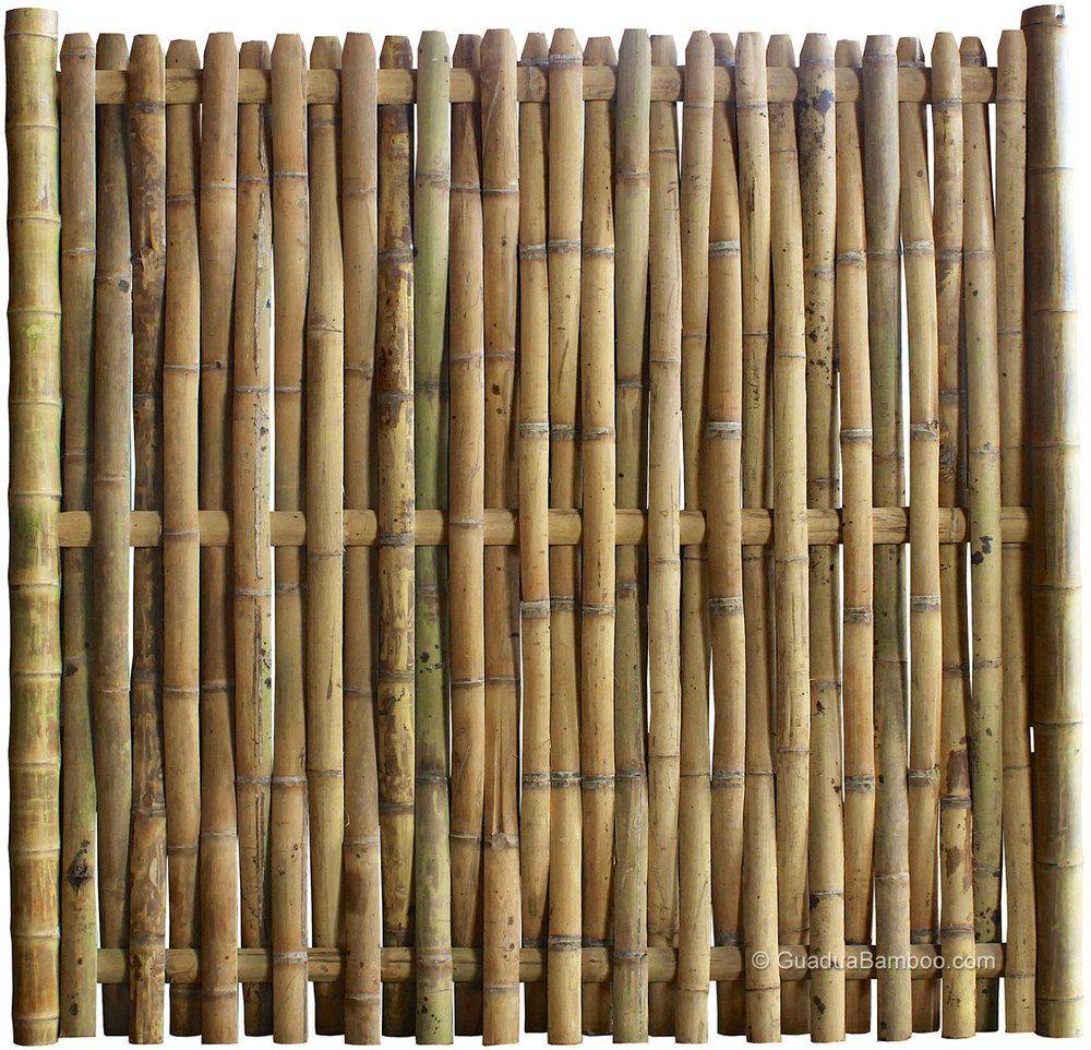 Приметы и суеверия о бамбуке в доме