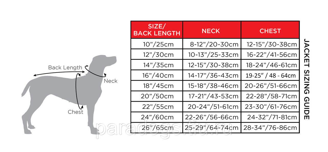 Таблицы размеров одежды и обуви для собак