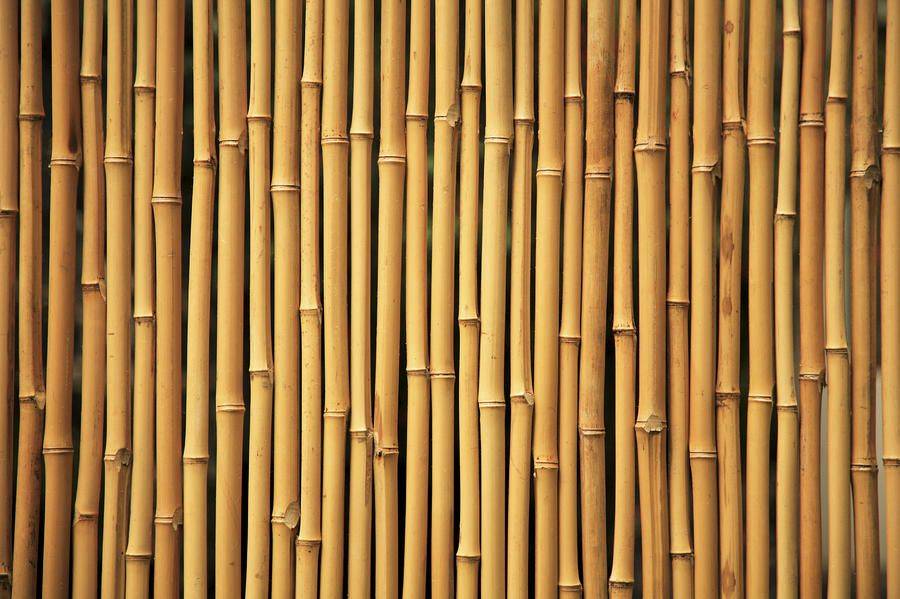 Бамбуковое волокно — идеальное решение для любого времени года