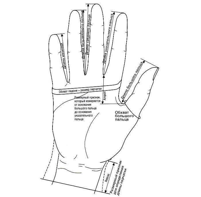 Выкройка перчаток. как самостоятельно пошить перчатки