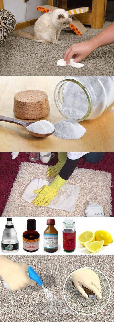 Как избавиться от запаха на ковре: обзор эффективных средств и методов для удаления неприятных ароматов