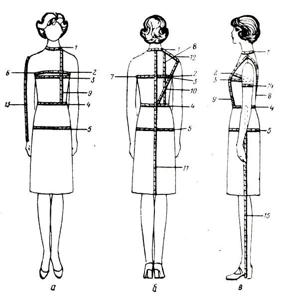 Типовые размеры женской фигуры (таблица) - как снять мерки с женской фигуры