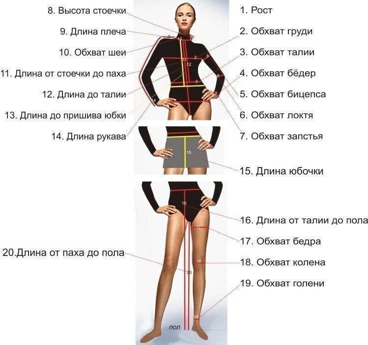 Как снять мерки для приобретения одежды - wikihow