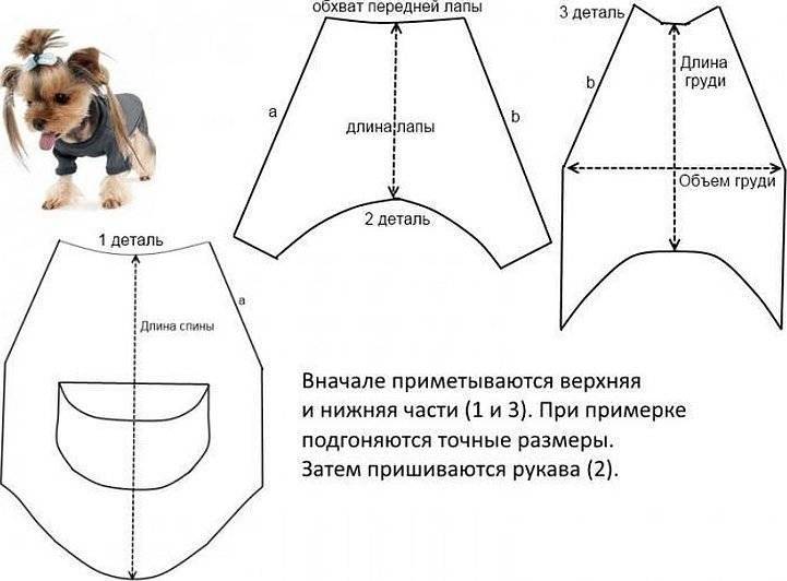 Выкройки одежды для собак мелких пород для начинающих с фото пошагово