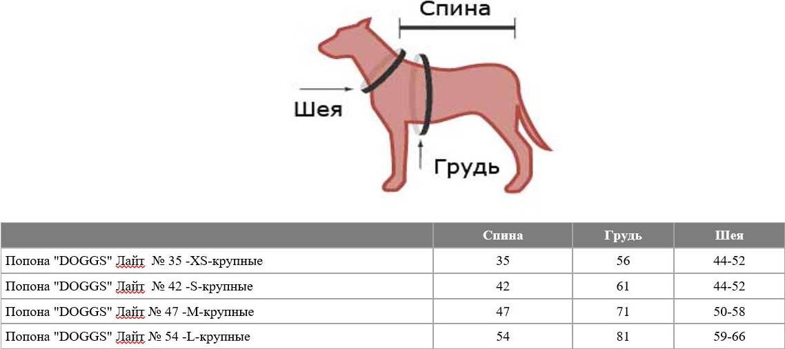 Размеры одежды для собак: таблица по породам
