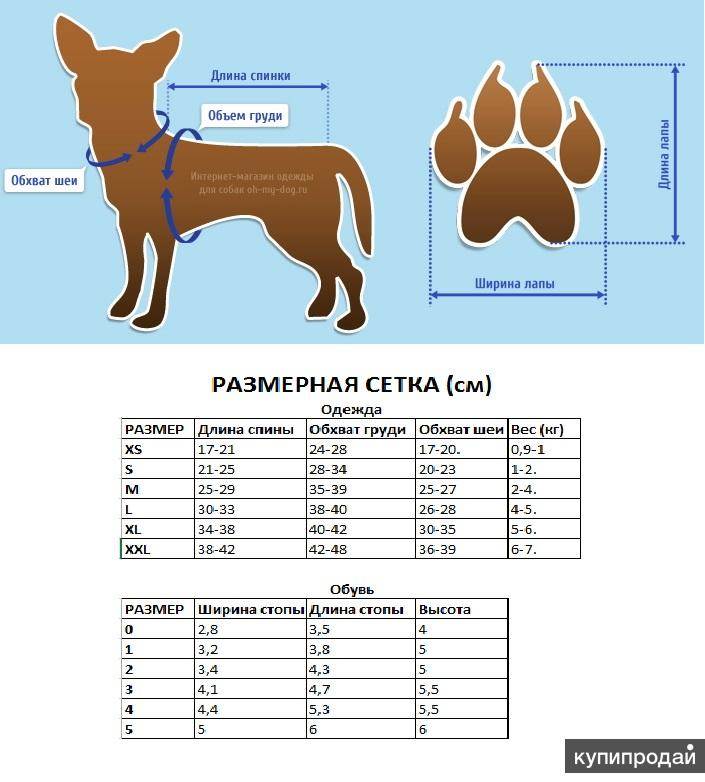 Где у собаки холка и для чего она нужна, как измерить рост собаки и почему это важно – про собак от а до я на glamour-dog.ru