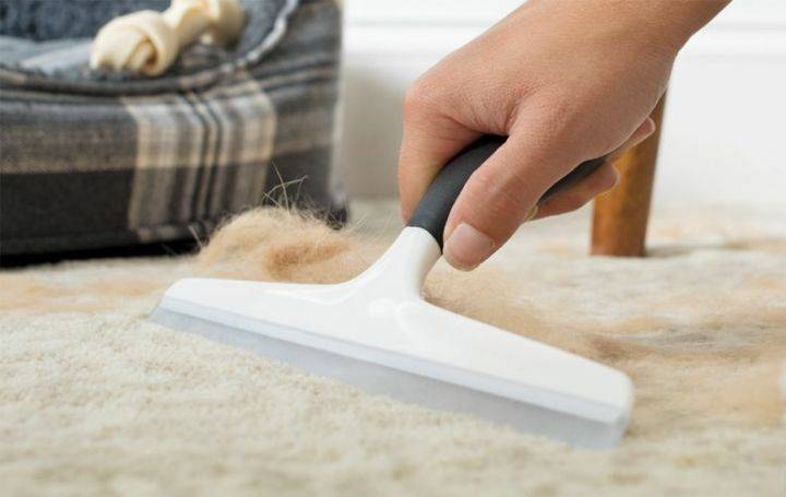 Как почистить ковер от волос в домашних условиях