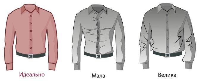 Как определить размер мужской рубашки