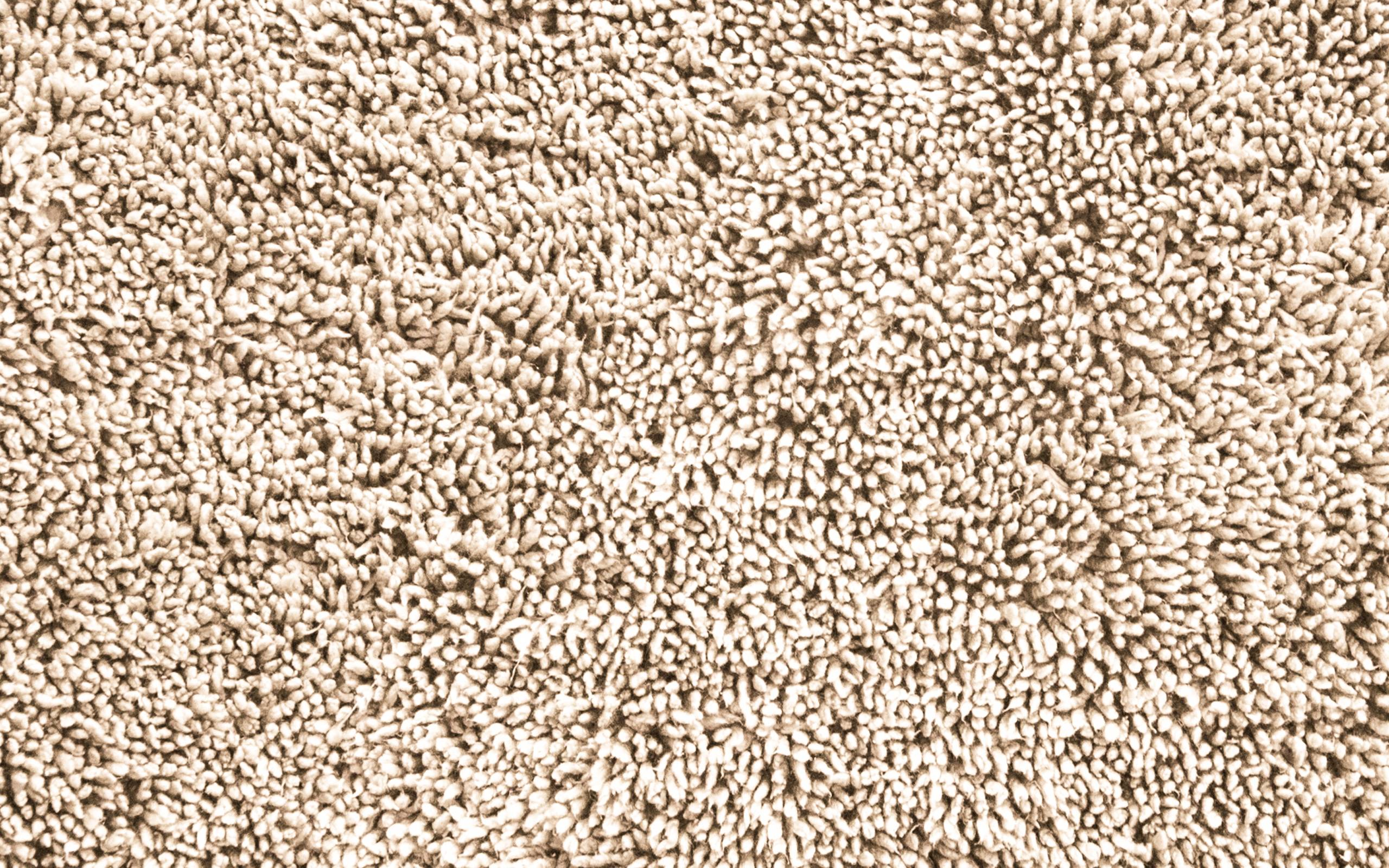 Материалы ковровых покрытий. какой ковер выбрать?