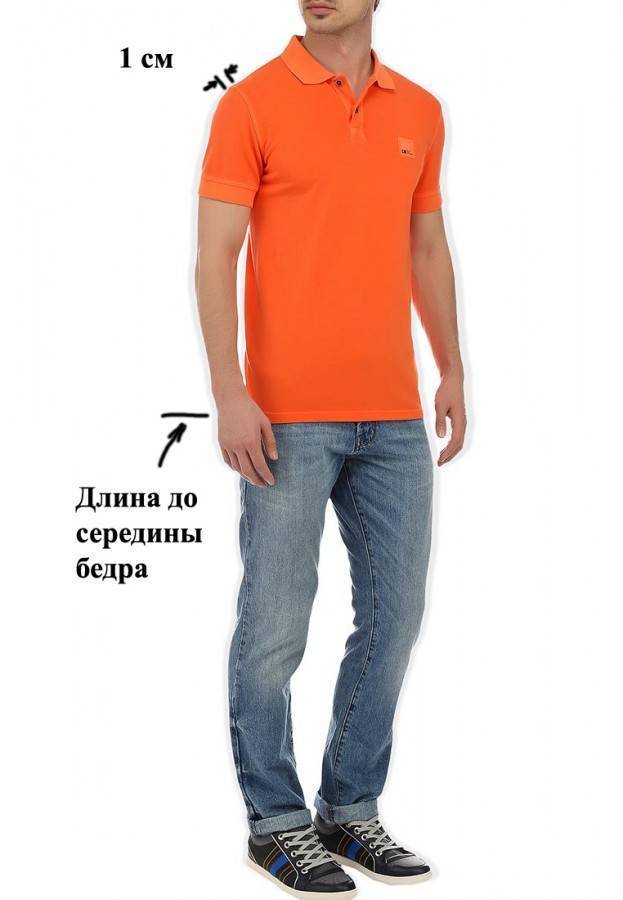 Виды футболок по фасону, предназначению, форме и длине рукавов