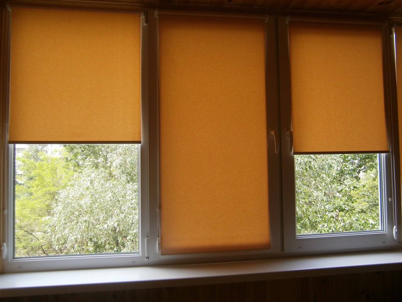 Рулонные шторы блэкаут: какие выбрать на пластиковое окно