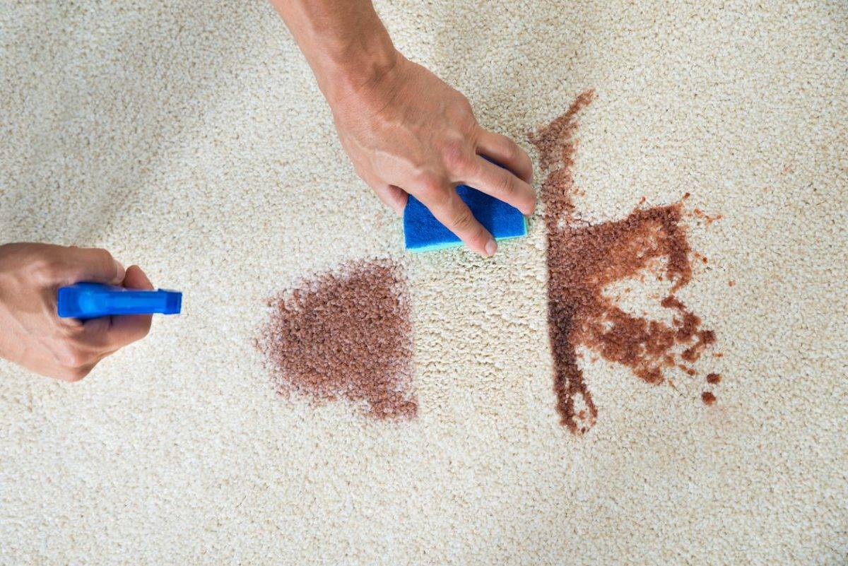 Как почистить ковёр содой дома: способы очистки отзывы
