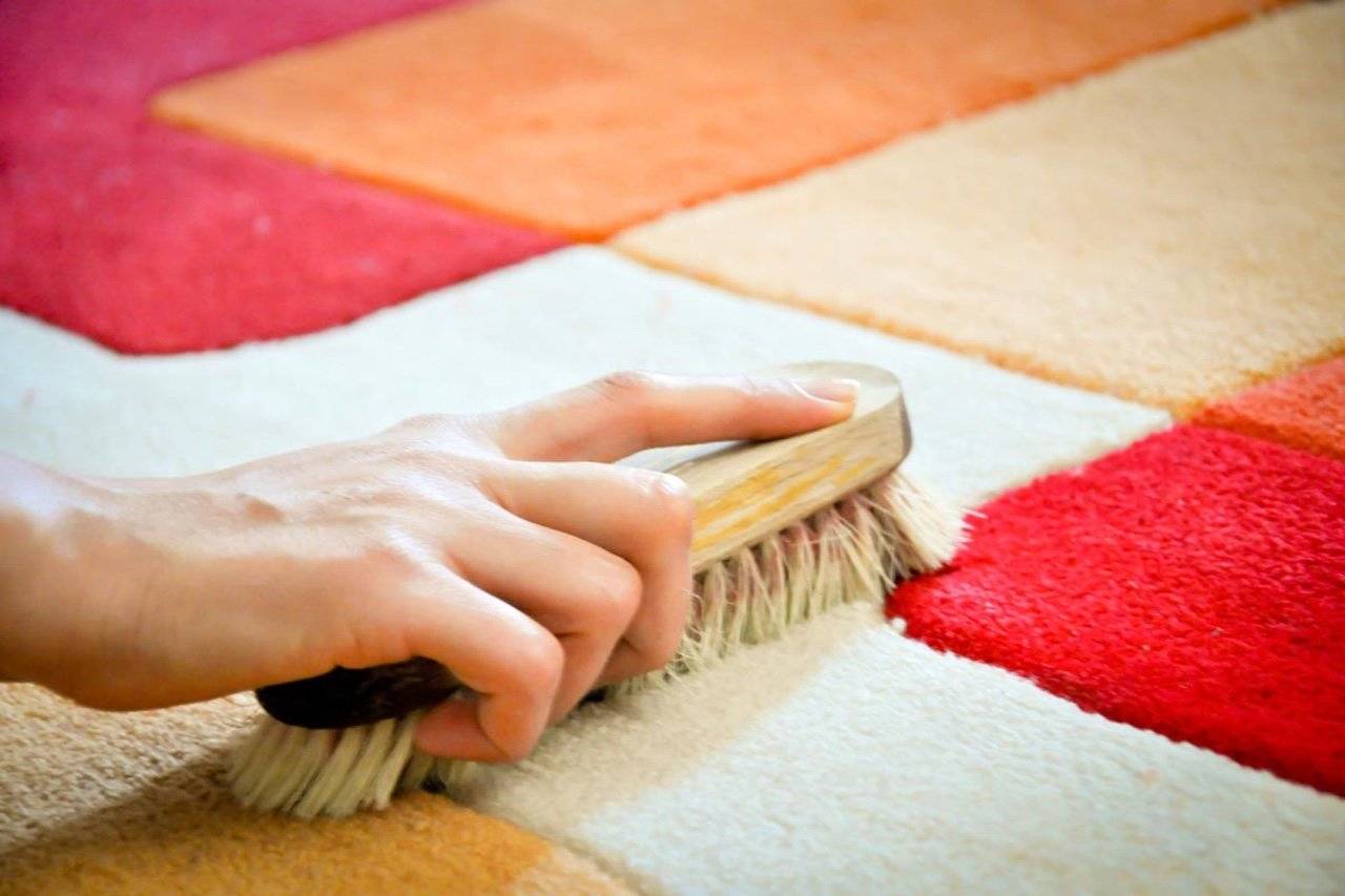 ✍как очистить ковер от шерсти: простые методы и рекомендации