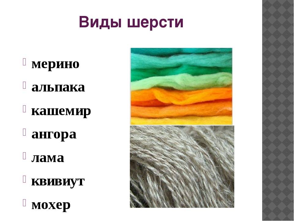 Что такое альпака в составе пряжи и ткани