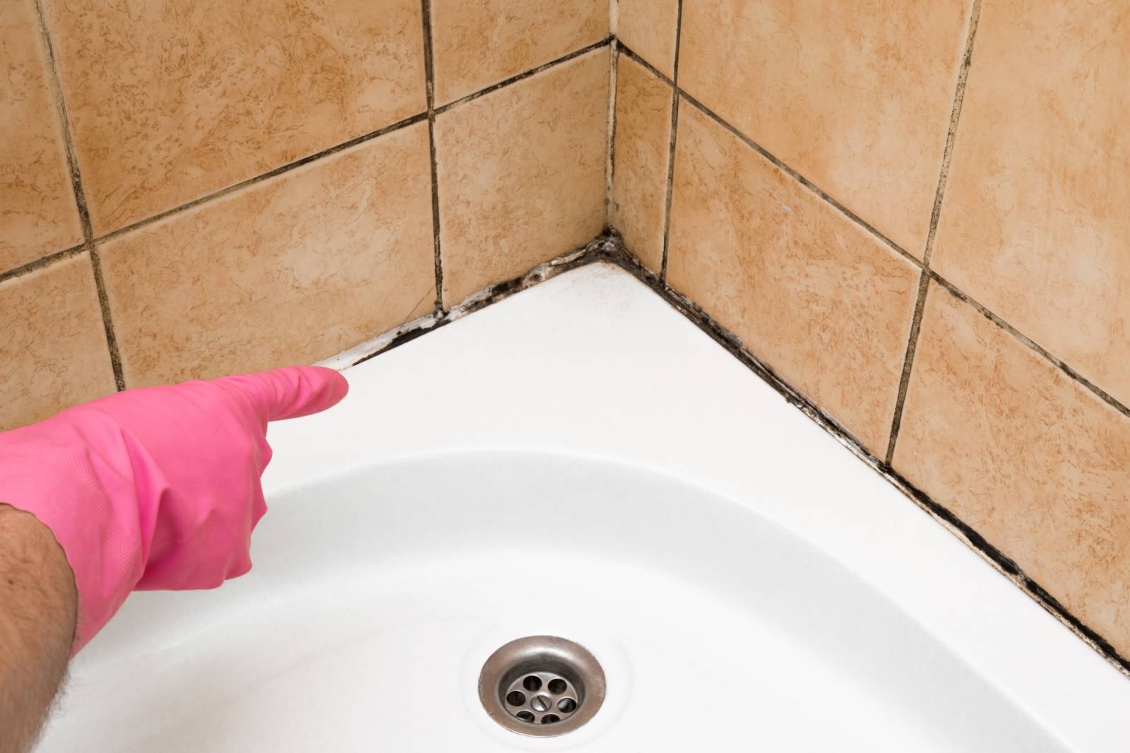 Чем обработать плесень на потолке и как избавиться от грибка в ванной