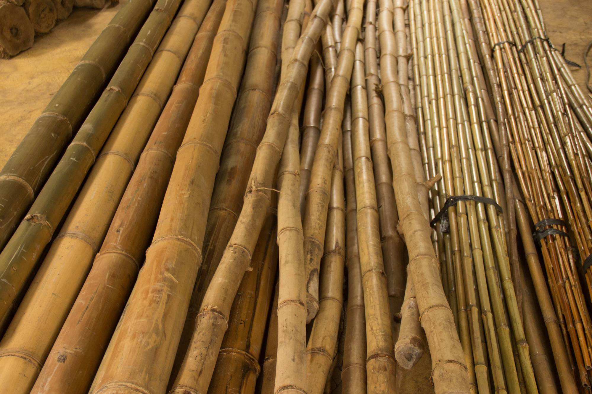 Бамбуковое волокно: свойства, плюсы и минусы