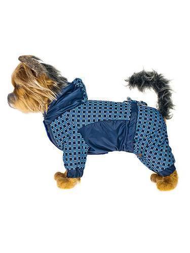 Одежда для маленьких собак, как подобрать с учетом снятых мерок