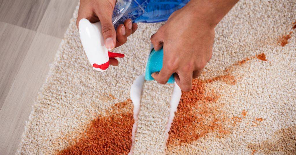 Как почистить ковёр в домашних условиях: народные способы и промышленные составы