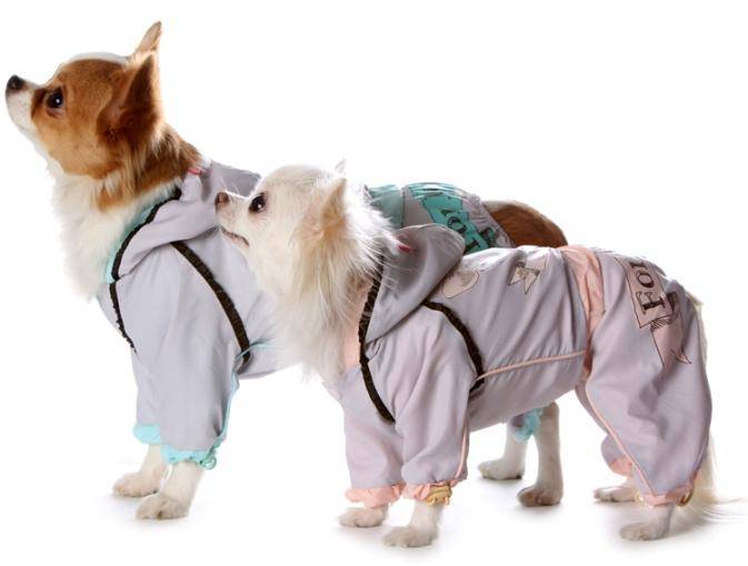 Одежда для собак: топ рейтинг популярных брендов в 2021 году по мнению заводчиков