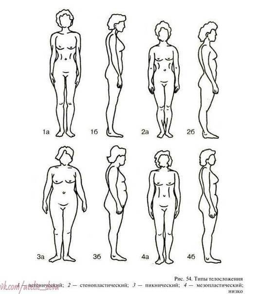 Как рассчитать оптимальные объемы фигуры по особенностям телосложения