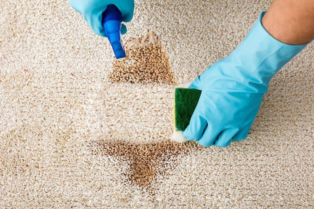 37 способов чистки ковра в домашних условиях - выводим пятна