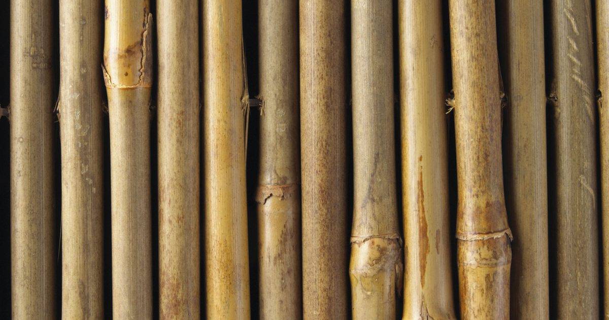 Стебель бамбука — что можно из него сделать