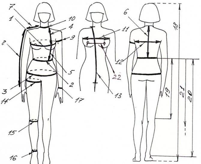 Измерения женской фигуры («м.мюллер и сын»)